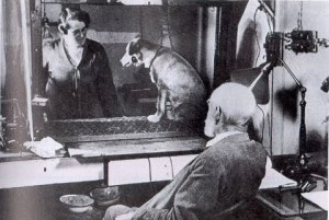 τα σκυλάκια του Παφλόφ